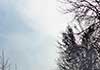 Depression counselling in Calgary
