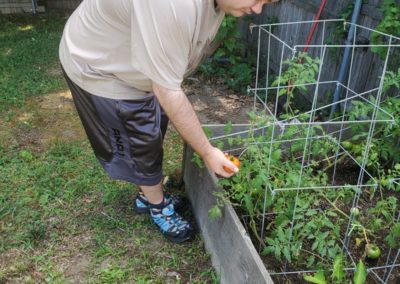 Man Gardening